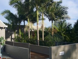 Australia House Healing